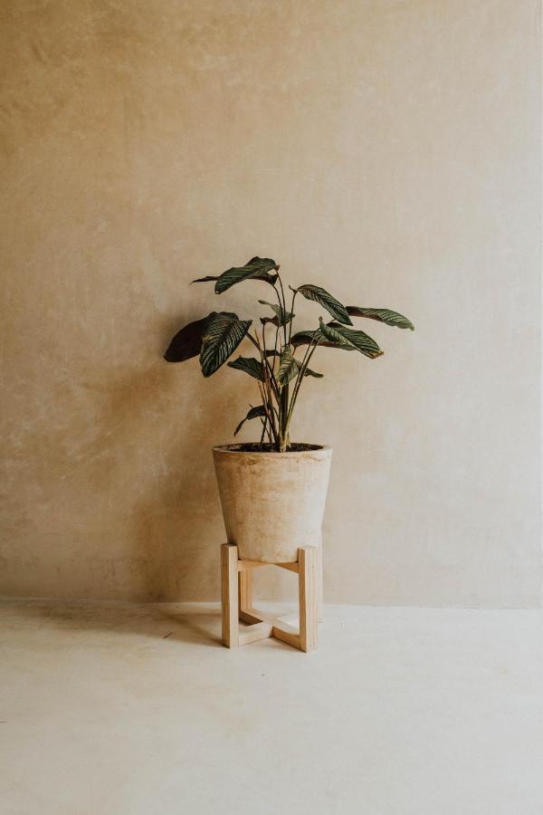 Casa Chimi Tulum Bed & Breakfast ภายนอก รูปภาพ